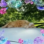 Kathy Felts - @kathy.felts.16 - Instagram