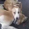 Kathy Felty - @kathy.felty - TikTok