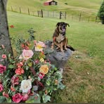 Kathy Fields - Facebook