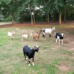 Kathy Fields - @kathyfields3868 - Instagram