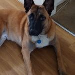 Kathy Browne - @finney.kathy - Instagram