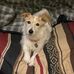 Kathy Finney - Facebook