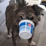 Kathy Finney - @gradelylass - Instagram