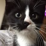 Kathy Fizer - @kattratt65 - Instagram