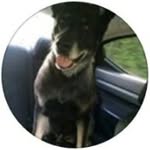 Kathy flake rogers - @kathyflakerogerss - Instagram