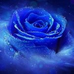 Kathy Saylor Flannery - @flannerykathy - Instagram