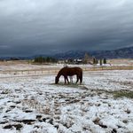 Kathy Stewart Flood - @kathy.s.flood - Instagram
