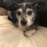 Kathy Flournoy-King - @kathyking1705 - Instagram