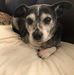 Kathy Flournoy-King - Facebook