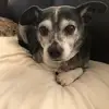 Kathy Flournoy-King - @kathy.flournoykin - TikTok