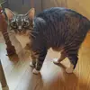 Kathy Forst - @kathy.forst - TikTok