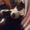 Momma Bear 66 - @kathyforster3 - TikTok