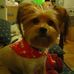Kathy Fortney - Facebook