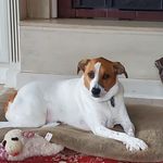 Kathy Yates Fortney - @kathyfortney - Instagram