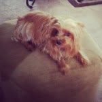 @kathy_fraley1939 - Instagram