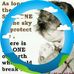 Cathy Fredericks - Facebook