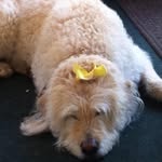 Kathy Frederickson - @kathy.frederickson.77 - Instagram