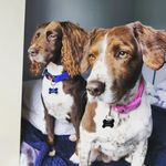 Kathy Free - @kathyfree73 - Instagram