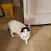 Kathy Free - Facebook