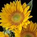 Kathy Freeze - Facebook