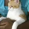 kitty-_-friday.? - @kitty_friday7 - TikTok