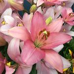 Kathy Fried - @kathy.fried.27 - Instagram