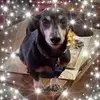 Kathy Hennen Gabbert - @kmg029 - TikTok