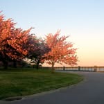 Kathy Gaither - @another_song2 - Instagram