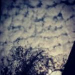 Kathy Gamboa - @kathy.gamboa.b - Instagram