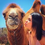 Kathy Gamboa - @kafagato - Instagram
