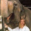 Kathy Gard - @gardkathy - Instagram