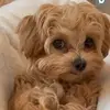 Kathy Gardner - @kathy.gardner81 - TikTok
