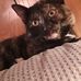 Kathy Gaylor - Facebook