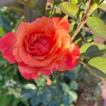 Kathy Villa Gilman - @kathyvillagilman - Instagram