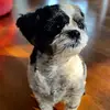 Kathy Glen - @kathy.glen8 - TikTok