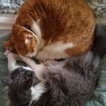 Kathy Glisson - @kathy.glisson.3 - Instagram