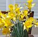 Kathy Goad - Facebook