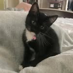 Kathy Goad - @kathy.goad.161 - Instagram
