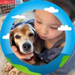 Kathy Goldstein - @kathybeagles - Instagram