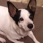 Kathy Goldstein - @goldstein.kathy - Instagram
