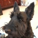 Kathy Goldstein - @katgold.10000 - Instagram