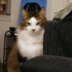 Kathy Goldstein - @kathy.goldstein.397 - Instagram