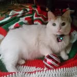 Kathy Goldstein-Rybarczyk - @kgoldsteinrybarczyk - Instagram