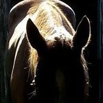 Kathy Slattery - @kathy.goodyear - Instagram