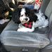 Katherine Goolsby - Facebook