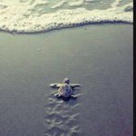 Kathy Grabow - @katherinegrabow - Instagram