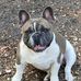 Kathi Gratton - Facebook