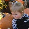 kathygraybeal181 - @kathygraybeal181 - TikTok