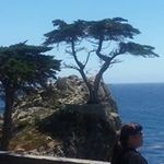 Kathy Bove Greco - @kathybove - Instagram