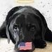 Kathy Greco - Facebook